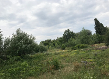 Продажа земельного участка в Киеве на берегу Днепра