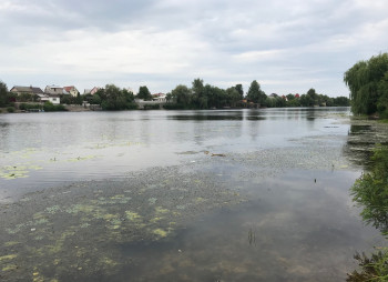 Продажа земельного участка в Киеве на берегу Днепра