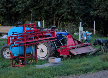 Berry farm for growing organic raspberries and currants