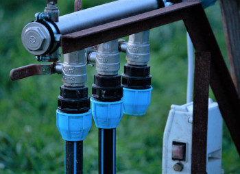 Berry farm for growing organic raspberries and currants