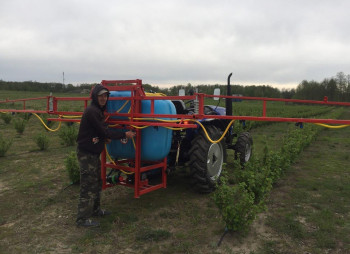 Berry farm for growing organic raspberries and currants