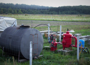 Berry farm for growing organic raspberries and currants