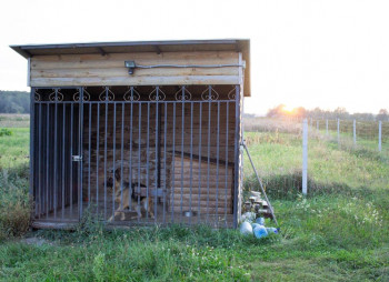 Berry farm for growing organic raspberries and currants