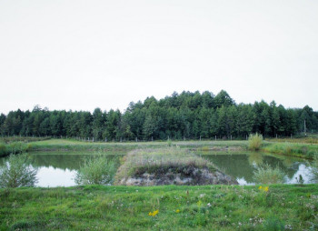 Berry farm for growing organic raspberries and currants