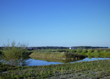 Berry farm for growing organic raspberries and currants