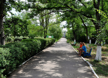 Детский спортивно-оздоровительный лагерь
