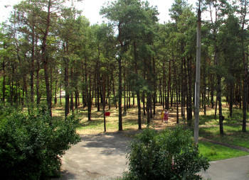 Детский спортивно-оздоровительный лагерь