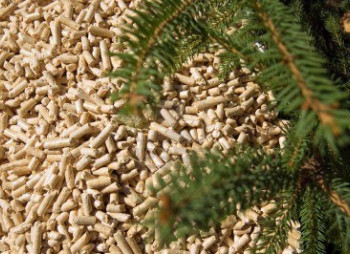 Производство топливных гранул из биомассы