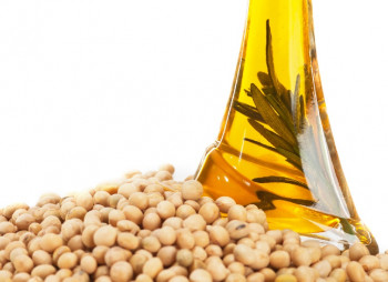 Производство соевого масла и жмыха