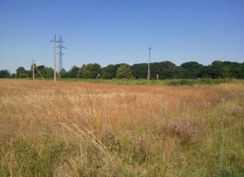 Land plot for elevator or logistics complex