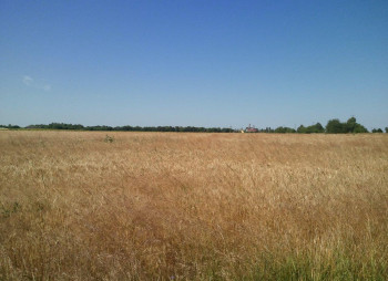 Land plot for elevator or logistics complex