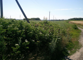 Land plot for elevator or logistics complex