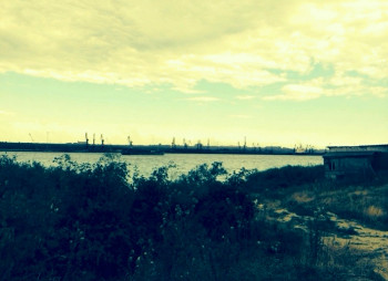 Эксклюзивный участок под строительство элеваторного комплекса