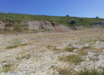 Каолиновый карьер в Донецкой области