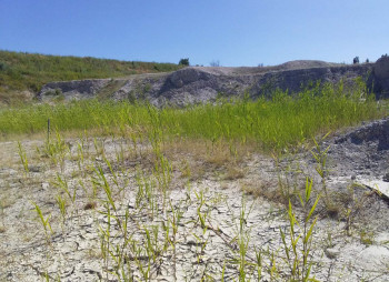 Каолиновый карьер в Донецкой области