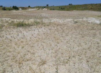 Каолиновый карьер в Донецкой области