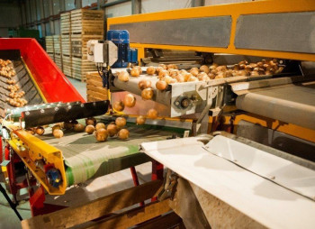 Строительство комплекса по переработке и сушке овощей