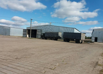 Компания в сфере зернового трейдинга с элеватором 7000 тонн хранения в Харьковской области