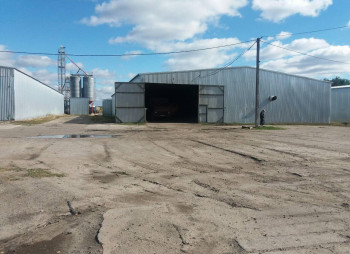 Компания в сфере зернового трейдинга с элеватором 7000 тонн хранения в Харьковской области