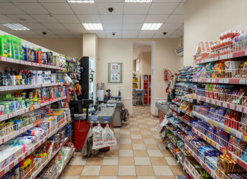 Ready-made rental business in the field of commercial real estate (retail and office) in Odessa