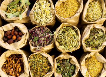 Продажа компании ТОП-3 экспортера лекарственных трав в Украине