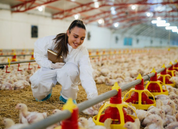 Poultry farm with a land bank of 3 000 hectares for sale