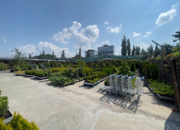 Продаж садового центру Gradina Mea у Молдові