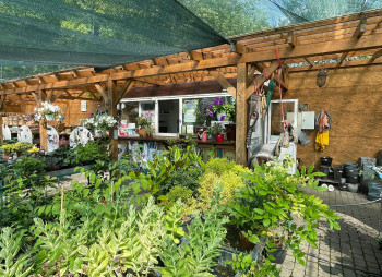 Продаж садового центру Gradina Mea у Молдові