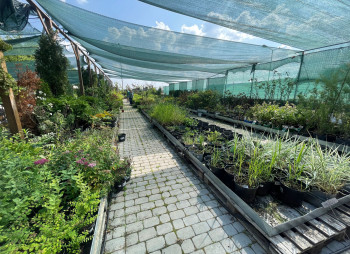 Продаж садового центру Gradina Mea у Молдові