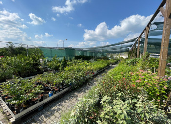 Продаж садового центру Gradina Mea у Молдові