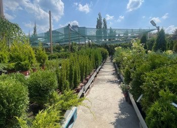 Продаж садового центру Gradina Mea у Молдові