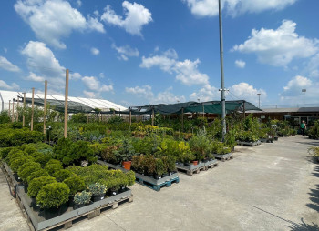 Продаж садового центру Gradina Mea у Молдові