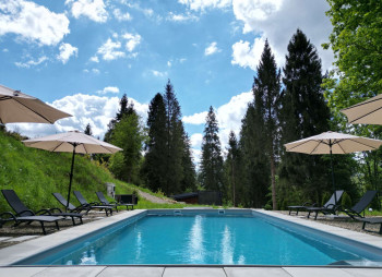 Продажа горного комплекса отдыха с действующим арендным бизнесом в Карпатах