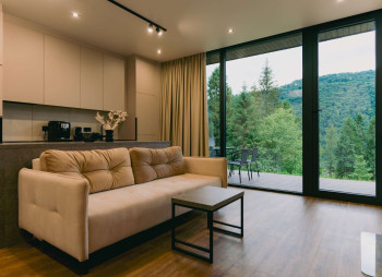 Продажа горного комплекса отдыха с действующим арендным бизнесом в Карпатах