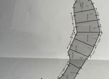 Продаж ділянки 0,9 га під рекреацію поблизу Ужгорода