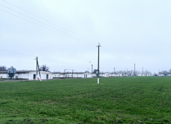 Продаж діючого птахокомплексу у Черкаській області
