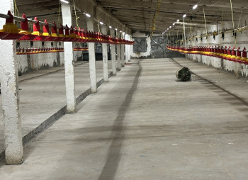 Продаж діючого птахокомплексу у Черкаській області