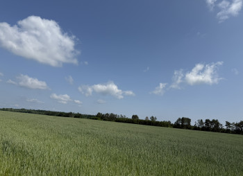 Продаж ділянки 122 га з фасадом на трасу E40 в 20 км від Києва