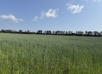 Продаж ділянки 122 га з фасадом на трасу E40 в 20 км від Києва