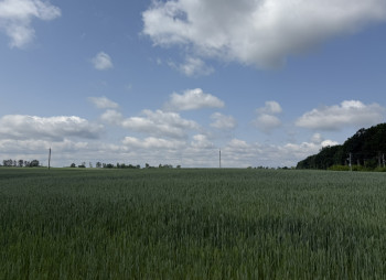 Продаж ділянки 122 га з фасадом на трасу E40 в 20 км від Києва