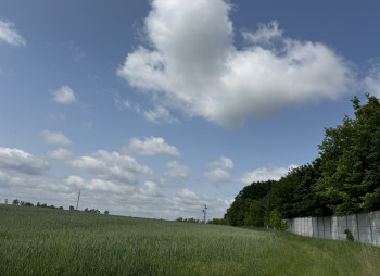 Продаж ділянки 122 га з фасадом на трасу E40 в 20 км від Києва