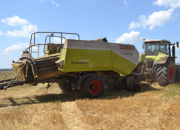 Продаж виробництва паливних і кормових пелет 55 000 тонн на рік у Вінницькій області