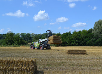 Продаж виробництва паливних і кормових пелет 55 000 тонн на рік у Вінницькій області