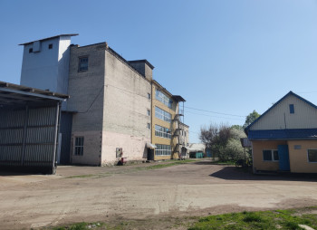 Продажа элеватора и нового мельничного завода 130 тонн в сутки в Черниговской области