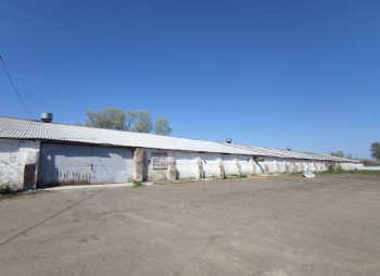 Продажа элеватора и нового мельничного завода 130 тонн в сутки в Черниговской области