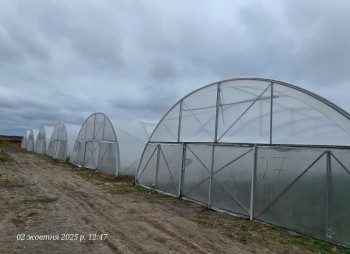 Продажа тепличного комплекса из 32 теплиц (16 000 м²) в Киевской области