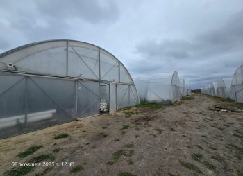 Продажа тепличного комплекса из 32 теплиц (16 000 м²) в Киевской области