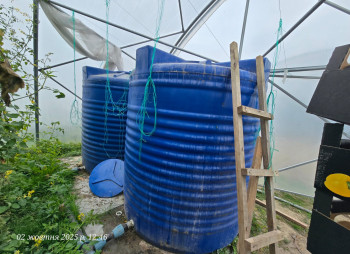 Продажа тепличного комплекса из 32 теплиц (16 000 м²) в Киевской области