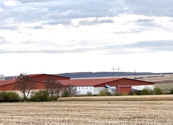 Продаж складського комплексу 19 300 м2, Тернопільська область