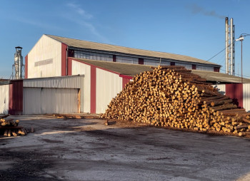 Operating Woodworking Enterprise with Export Production for Sale in Volyn Region